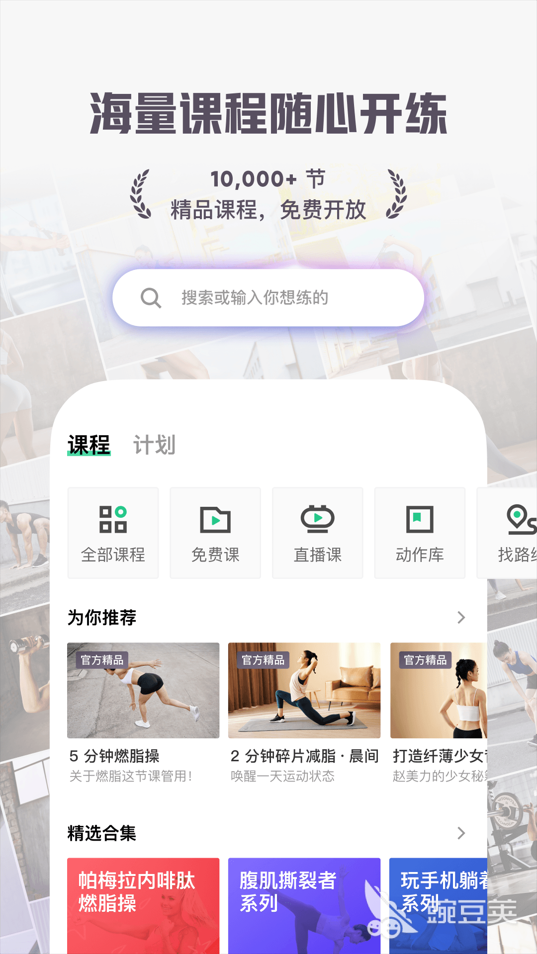 手机运动健康App分享 2024年实用的运动健身与健康管理软件下载推荐
