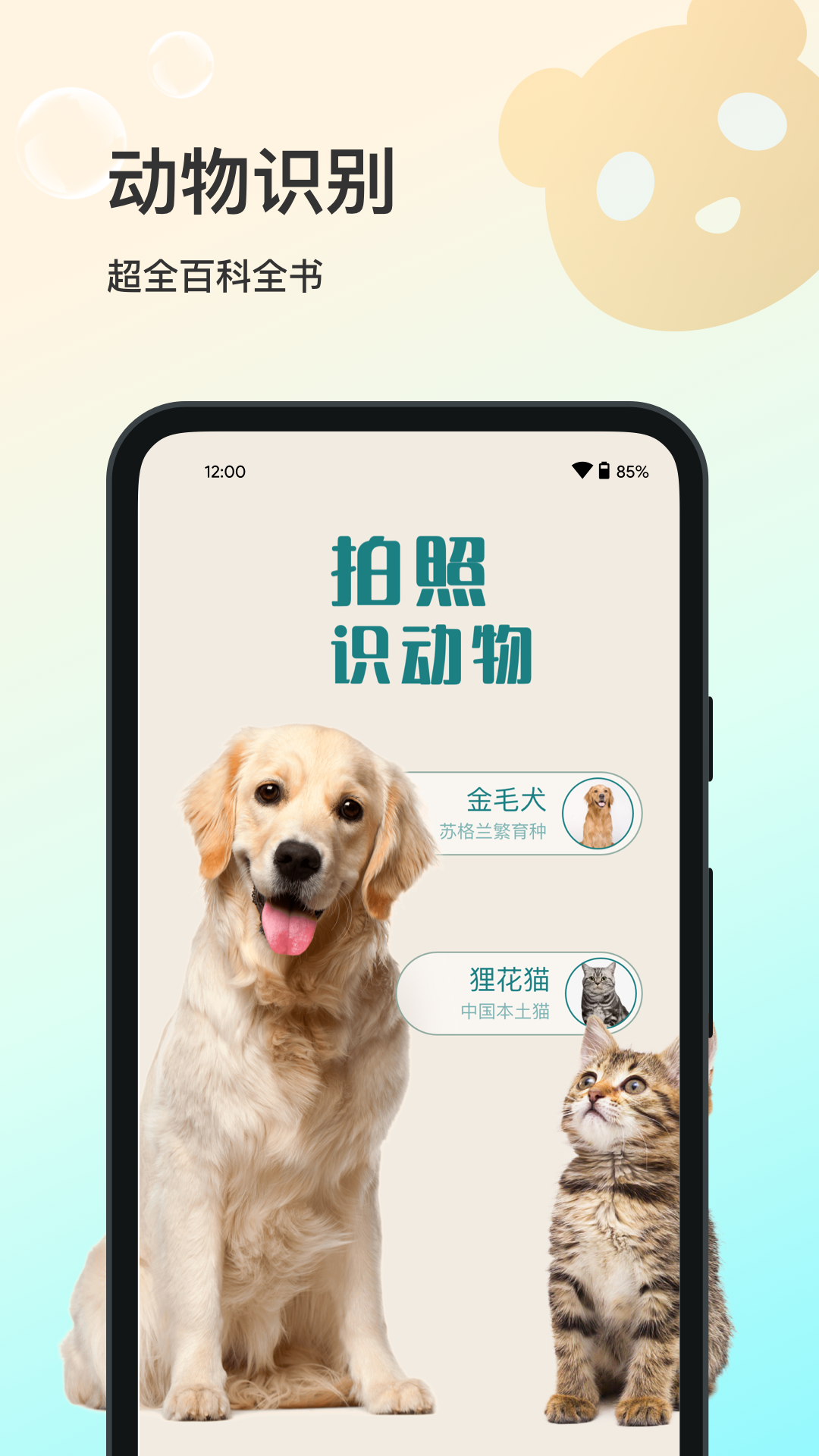 实用的猫品种识别app有哪几款 功能全面的猫咪识别软件分享截图
