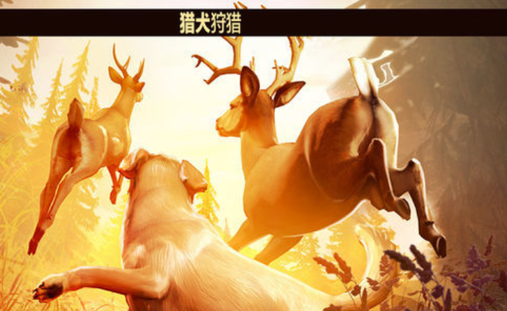 好玩的打猎游戏分享 2026人气较高的打猎游戏介绍截图