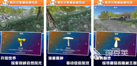 2026火爆的采蘑菇榜单9分享before_1:好玩又上瘾的蘑菇主题小游戏