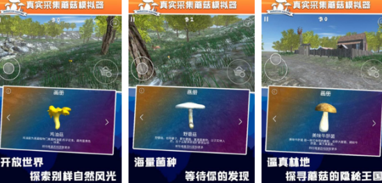 火爆的的采蘑菇游戏有什么 2026榜单3蘑菇游戏手机版分享before_1截图