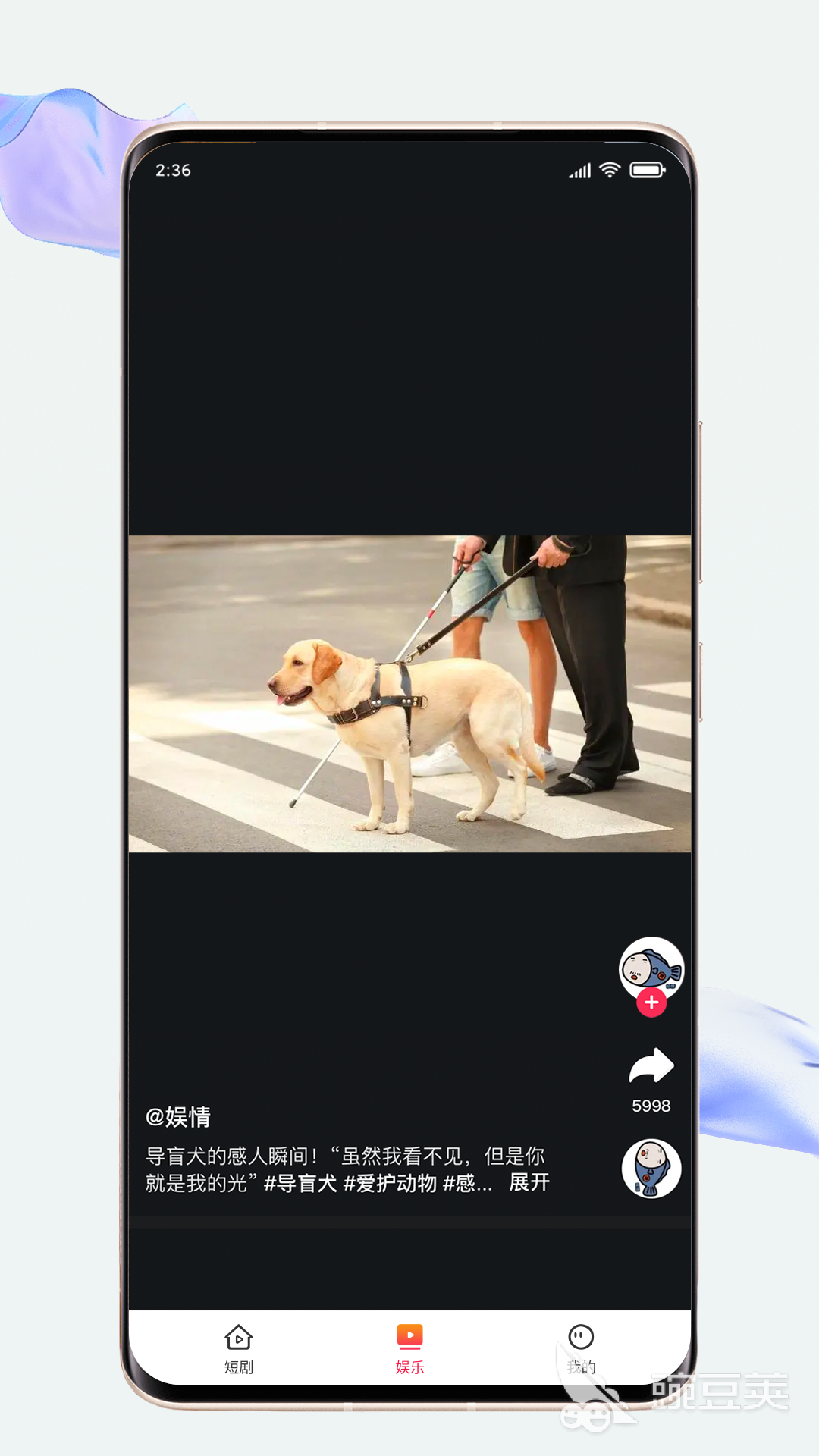 不用钱看剧APP分享 实用无广告高清追剧安卓APP榜单截图
