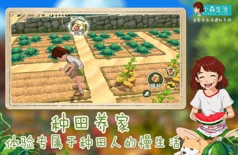 小森生活游戏下载安装链接推荐 小森生活游戏手机版在哪里下载