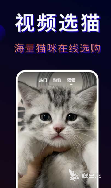 宠物托运平台App分享 2024高口碑宠物托运APP榜单合集截图