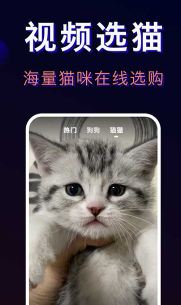 宠物托运平台app哪些好 宠物托运平台app分享截图