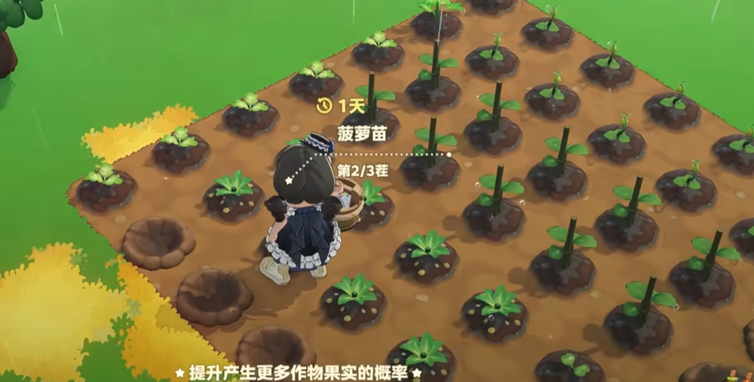 星布谷地肥料桶放什么 星布谷地肥料合理施用详情指引
