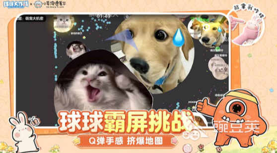 2015休闲榜单合集6before_2 2026火爆的休闲网游分享与玩法解析截图