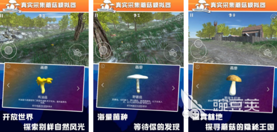 不用钱采蘑菇榜单5分享｜2026火爆的蘑菇主题手游安卓下载before_1截图