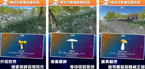 不用钱的采蘑菇手机游戏分享哪个 好玩的蘑菇手游安卓下载合辑2026截图