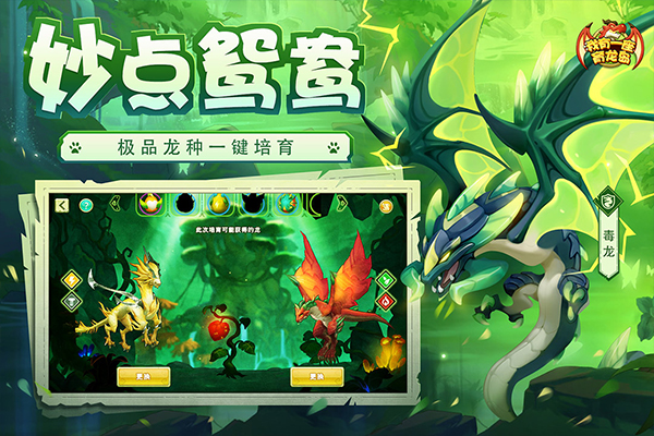 养龙游戏大全