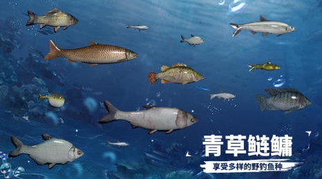 经典的钓鱼的游戏前五 好玩的钓鱼游戏汇总2026截图