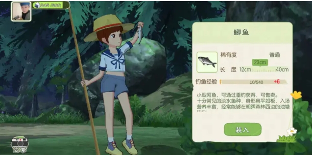 小森生活高山松茸位置在哪 小森生活高山松茸位置推荐截图