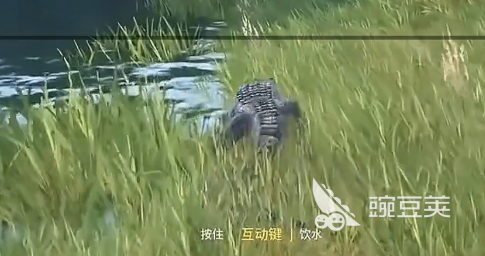 龙岛异兽起源沼泽泥潭位置详解 龙岛异兽起源沼泽泥潭在哪怎么去截图