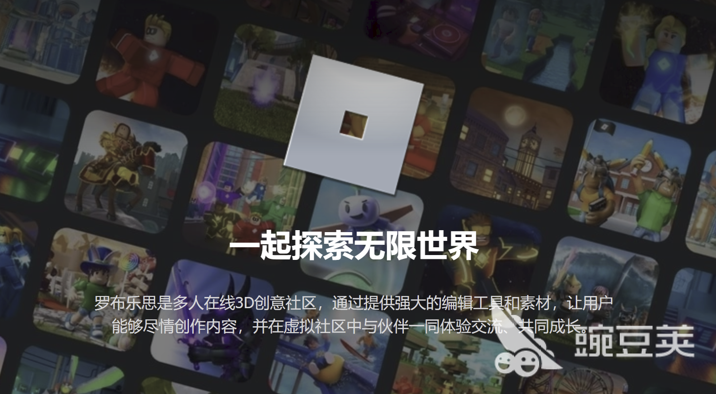 罗布乐思进不去游戏?常见原因及详细解决方法
