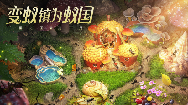 蚂蚁进化3d小游戏合集