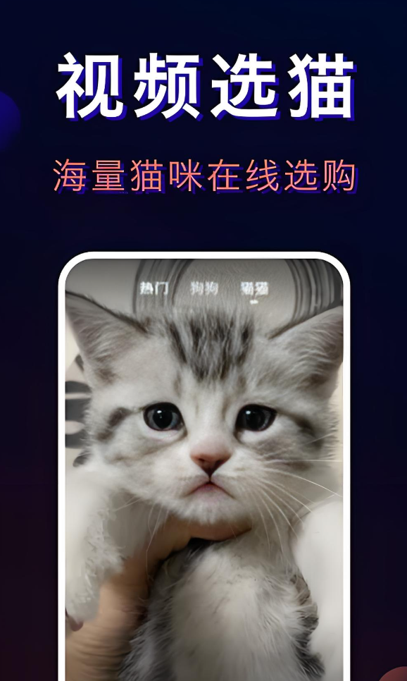 可靠的宠物托运平台app有没有 安全的宠物托运平台app下载安装链接截图