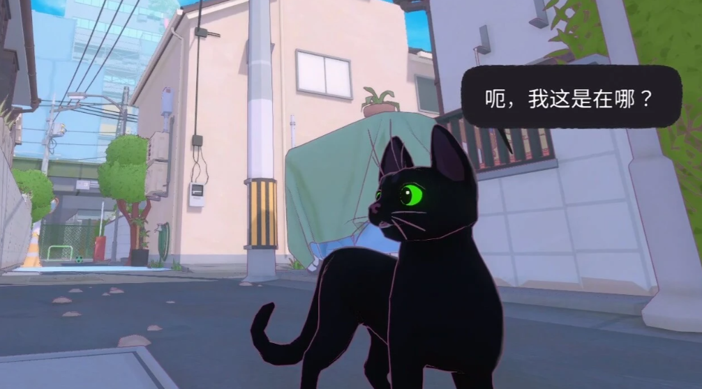 小猫咪大城市正版游戏下载地址分享