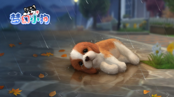 狗狗游戏大全