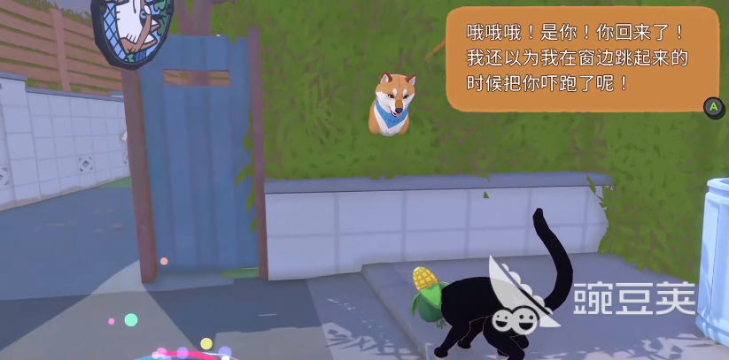 小猫咪大城市狗怎么过 小猫咪大城市狗找球全教程截图
