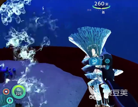 深海迷航冰点之下螺旋草切割物采集指南 深海迷航冰点之下螺旋草切割物高效获取方法截图