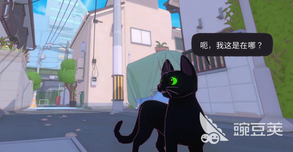 小猫咪大城市太妃的新照任务教程 小猫咪大城市太妃拍照任务全流程详解截图