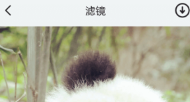 相机app有没有 火爆的的相机类型软件分享