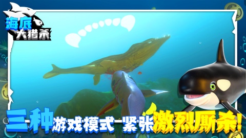 超火爆的吃鱼长大的游戏