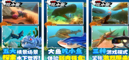 不用钱的大鱼吃小鱼游戏分享哪个 2026受欢迎的大鱼吃小鱼游戏手机版推荐截图