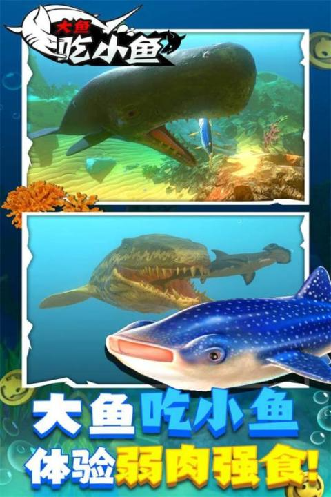流行的大鱼游戏在哪里下载 2026榜单3大鱼游戏before_1截图