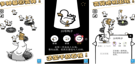 不用钱的鸭子不用网络游戏分享哪个 2026有趣的鸭子手游安卓下载推荐