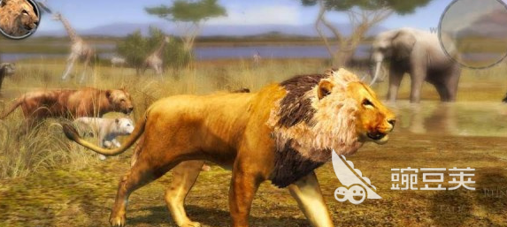 榜单合集4狮子游戏分享 2026人气飙升的狮子主题游戏before_2截图