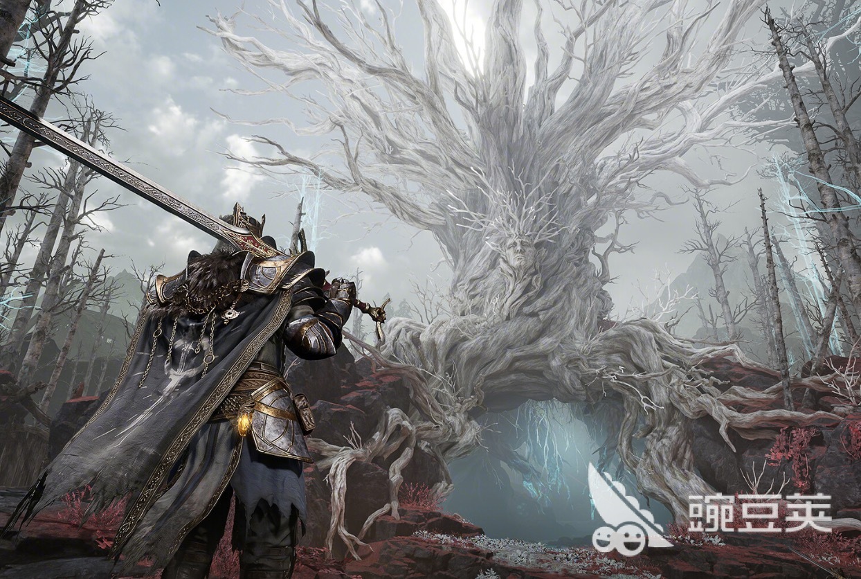 雾影猎人是不用网络游戏还是网游？详细解析 gameplay 类型