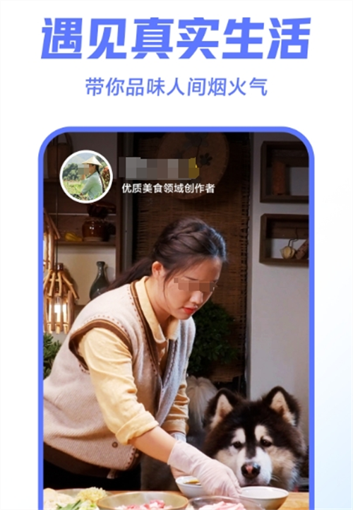 白色橄榄树在哪个app看