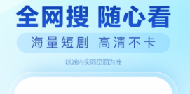 网站app有没有 火爆的的上网APP分享