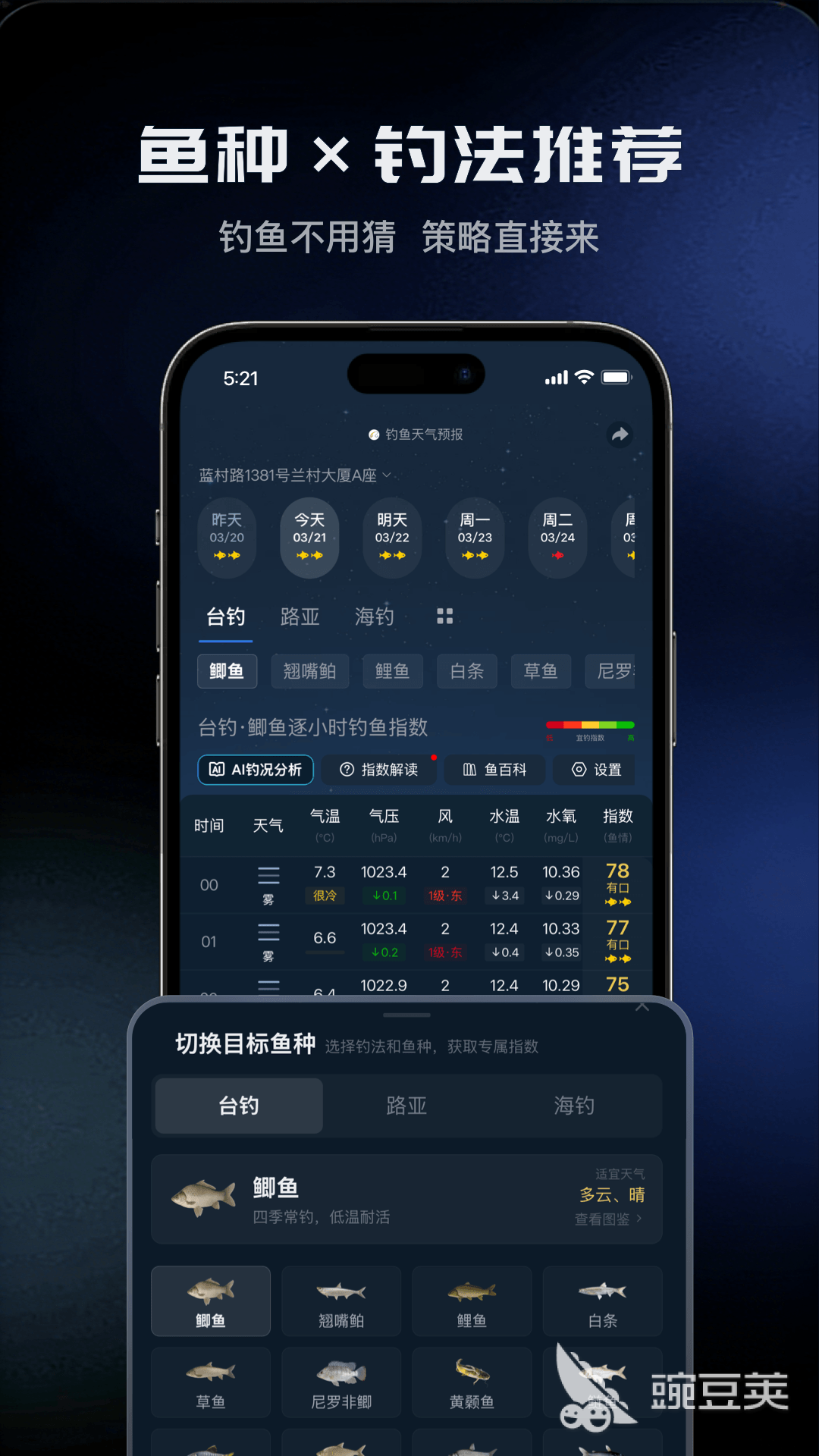 2026年最实用的钓鱼天气预报APP分享：精准预测+渔情分析