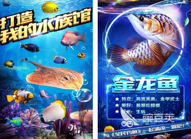 2026火爆的手机钓鱼游戏分享：真实感强、玩法丰富、口碑佳的钓鱼游戏手机版TOP榜