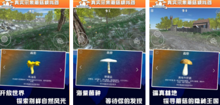 有趣的采蘑菇手机游戏有什么 受欢迎的蘑菇游戏手机版分享合辑2026