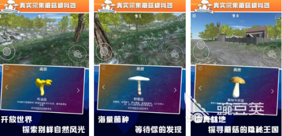 2026火爆的采蘑菇榜单9分享:好玩又上瘾的蘑菇采集游戏before_1