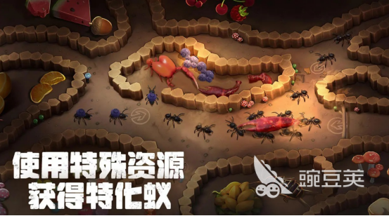 热门蚂蚁游戏榜单合集8 2026火爆的蚂蚁题材游戏手机版before_2截图