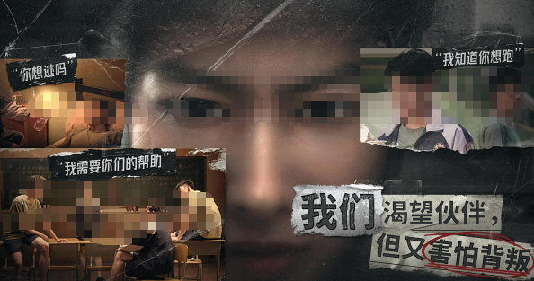 不联网的榜单5有哪几款盘点2026 不需要联网的优质小游戏before_1截图