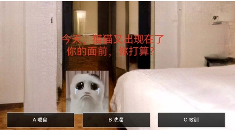 必玩的猫鼠游戏榜单合集 好玩的猫鼠游戏合辑2026截图