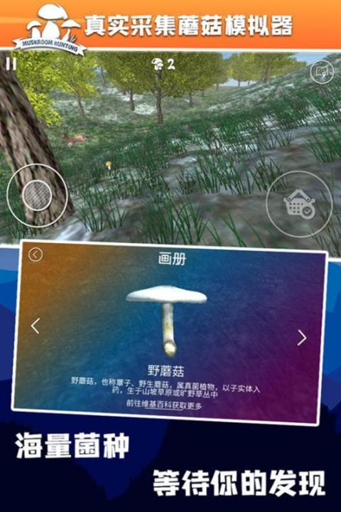 采蘑菇游戏哪个值得玩2026 高质量的采蘑菇游戏推荐
