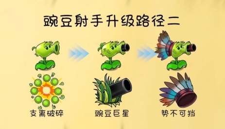 耐玩的植物大战僵尸卡牌游戏前五 受欢迎的植物大战僵尸卡牌游戏介绍2026截图