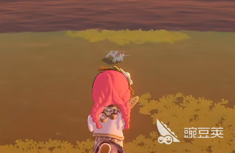 星布谷地螯龙虾捕捉地点汇总｜星布谷地螯龙虾详细图鉴与刷新规律截图