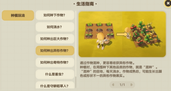 星布谷地丰硕作物种植怎么玩 星布谷地丰硕作物种植任务教程