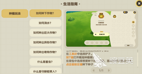 星布谷地丰硕作物种植 星布谷地高产作物种植全流程教程截图