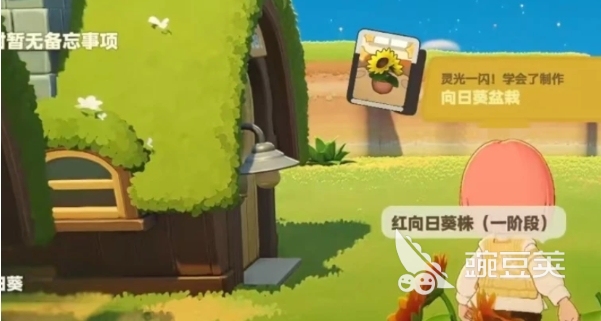 星布谷地抓守宫教程 星布谷地守宫捕捉方法与技巧推荐截图