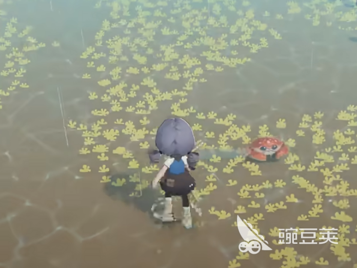 星布谷地抓寄居蟹教程 星布谷地寄居蟹捕捉地点与技巧详解截图