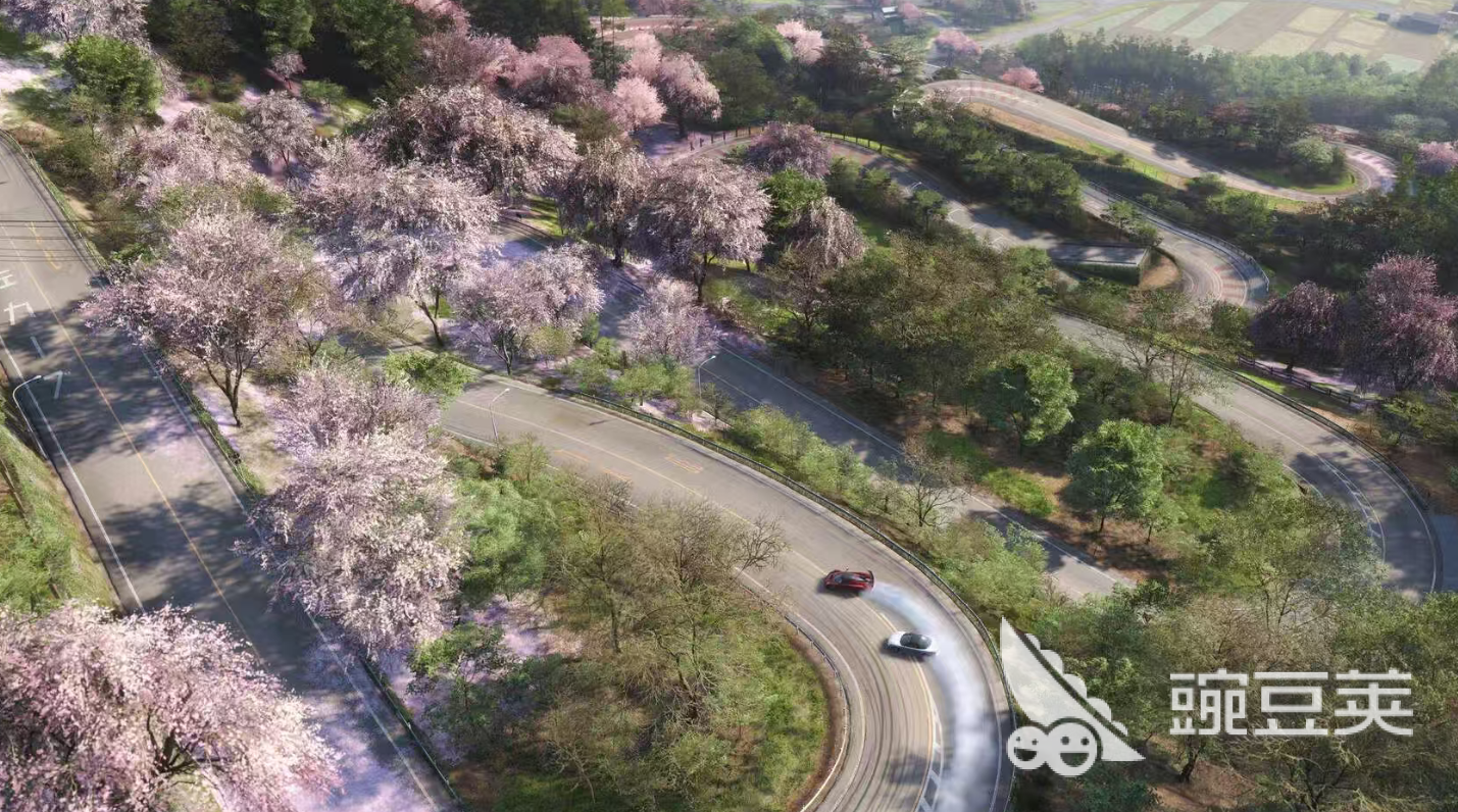 2026极限竞速地平线6闪退卡顿延迟掉帧解决指南：7大加速器对比优化方案