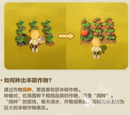 星布谷地变异作物获取教程 星布谷地高产变异作物种植与掉落方法详解截图